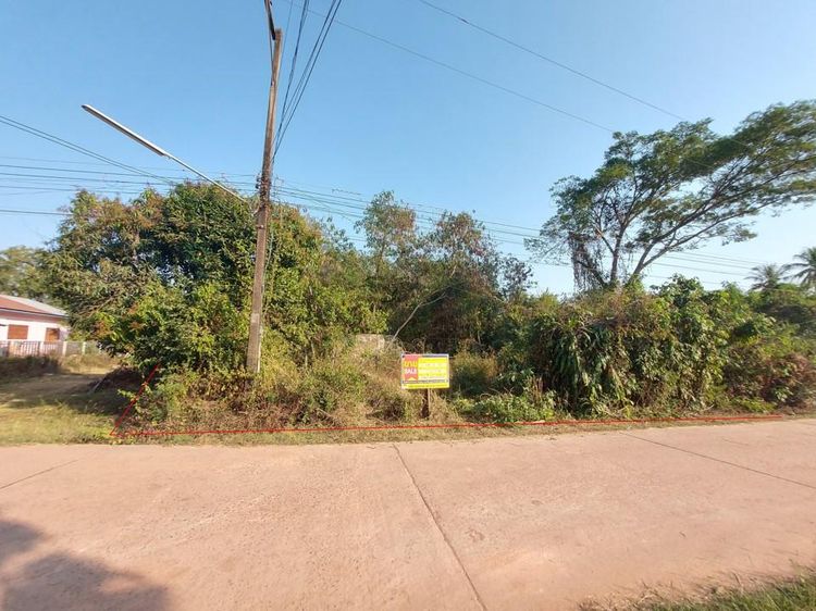 ใช่ 💖 ที่ดิน บ้านผือ ราคาพิเศษ! 💖 รูปที่ 2