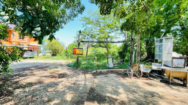 💖 ที่ดิน บางไทร ราคาพิเศษ! 💖