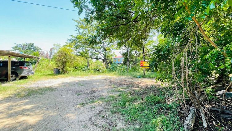 ใช่ 💖 ที่ดิน บางไทร ราคาพิเศษ! 💖 รูปที่ 4