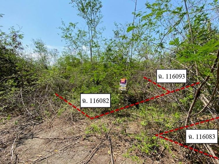 💖 ที่ดิน เมืองลำพูน ราคาพิเศษ! 💖