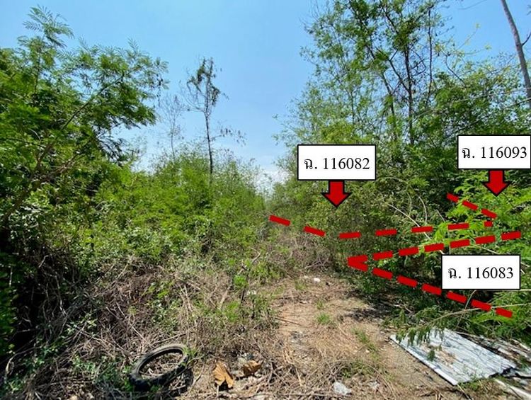 ใช่ 💖 ที่ดิน เมืองลำพูน ราคาพิเศษ! 💖 รูปที่ 4