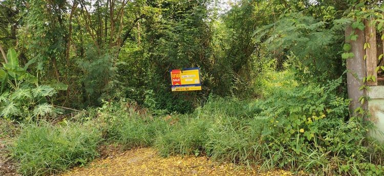 āđāļāđ ð āļāļĩāđāļāļīāļāđāļāļĨāđāļē āļŠāļĢāļ°āđāļāđāļ§ ð āļĢāļđāļāļāļĩāđ 2