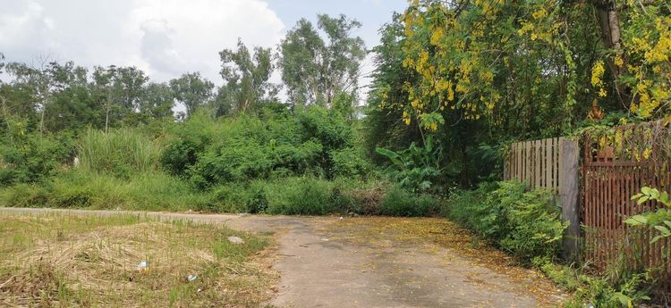 āđāļāđ ð āļāļĩāđāļāļīāļāđāļāļĨāđāļē āļŠāļĢāļ°āđāļāđāļ§ ð āļĢāļđāļāļāļĩāđ 3