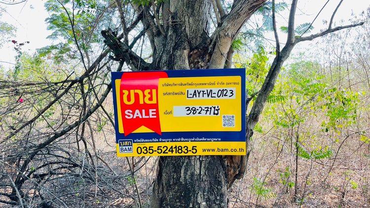 💖 ที่ดิน ภาชี ราคาพิเศษ! 💖