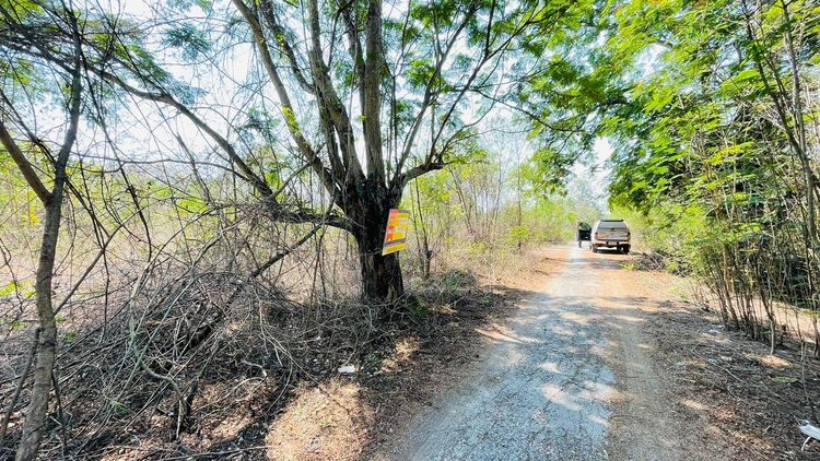 ใช่ 💖 ที่ดิน ภาชี ราคาพิเศษ! 💖 รูปที่ 3