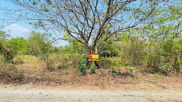 ใช่ 💖 ที่ดิน ภาชี ราคาพิเศษ! 💖