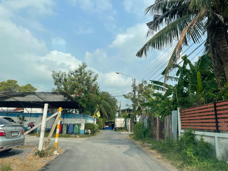 ใช่ 💖 ที่ดิน บางเขน ราคาพิเศษ! 💖 รูปที่ 4