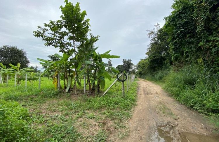 ใช่ 💖 ที่ดิน หางดง ราคาพิเศษ! 💖 รูปที่ 3