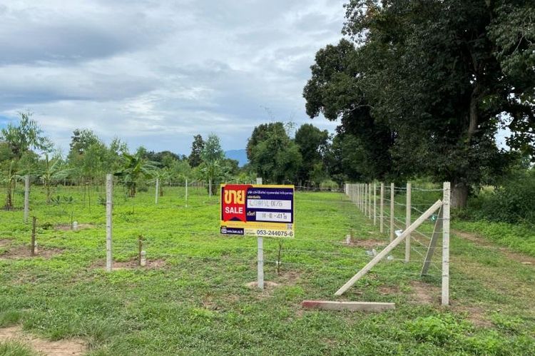 ใช่ 💖 ที่ดิน หางดง ราคาพิเศษ! 💖 รูปที่ 2