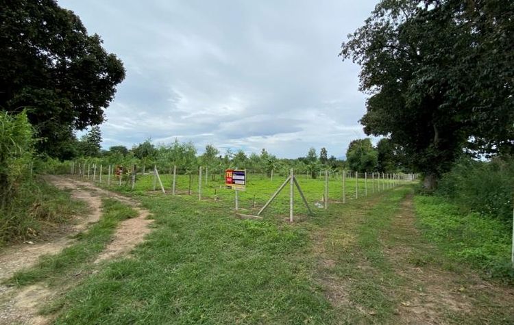 ใช่ 💖 ที่ดิน หางดง ราคาพิเศษ! 💖