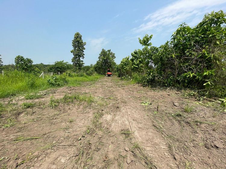 ใช่ 💖 ที่ดิน หางดง ราคาพิเศษ! 💖 รูปที่ 4