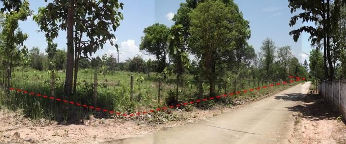 ใช่ 💖 ที่ดิน เมืองลำพูน ราคาพิเศษ! 💖 รูปที่ 3