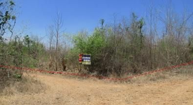 ใช่ 💖 ที่ดิน บ้านโฮ่ง ราคาพิเศษ! 💖