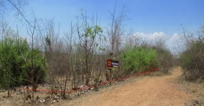 💖 ที่ดิน บ้านโฮ่ง ราคาพิเศษ! 💖