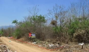 ใช่ 💖 ที่ดิน บ้านโฮ่ง ราคาพิเศษ! 💖 รูปที่ 1