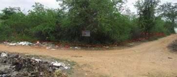 ใช่ 💖 ที่ดิน บ้านโฮ่ง ราคาพิเศษ! 💖 รูปที่ 1