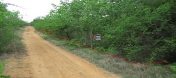 ใช่ 💖 ที่ดิน บ้านโฮ่ง ราคาพิเศษ! 💖 รูปที่ 1