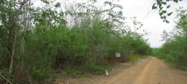 ใช่ 💖 ที่ดิน บ้านโฮ่ง ราคาพิเศษ! 💖 รูปที่ 1