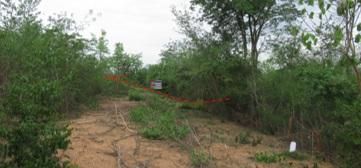 💖 ที่ดิน บ้านโฮ่ง ราคาพิเศษ! 💖