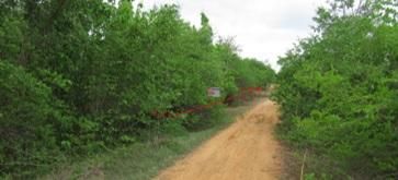 ใช่ 💖 ที่ดิน บ้านโฮ่ง ราคาพิเศษ! 💖