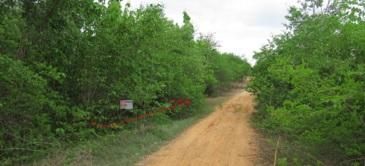 ใช่ 💖 ที่ดิน บ้านโฮ่ง ราคาพิเศษ! 💖