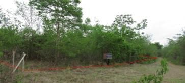 ใช่ 💖 ที่ดิน บ้านโฮ่ง ราคาพิเศษ! 💖