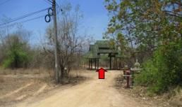 ใช่ 💖 ที่ดิน บ้านโฮ่ง ราคาพิเศษ! 💖 รูปที่ 2