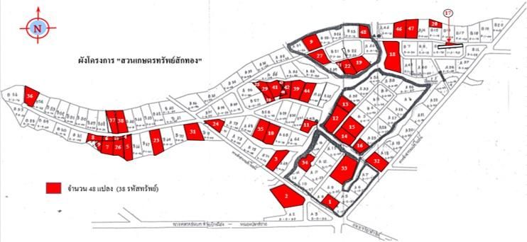 ใช่ 💖 ที่ดิน บ้านโฮ่ง ราคาพิเศษ! 💖 รูปที่ 4