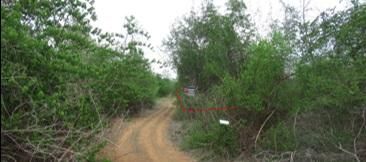 ใช่ 💖 ที่ดิน บ้านโฮ่ง ราคาพิเศษ! 💖