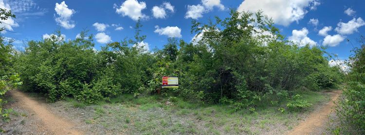 ใช่ 💖 ที่ดิน บ้านโฮ่ง ราคาพิเศษ! 💖 รูปที่ 4