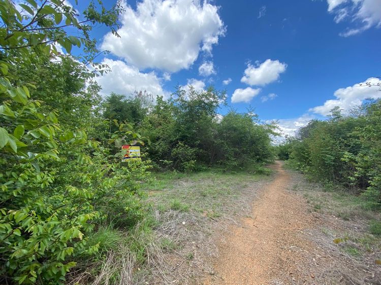 ใช่ 💖 ที่ดิน บ้านโฮ่ง ราคาพิเศษ! 💖 รูปที่ 2