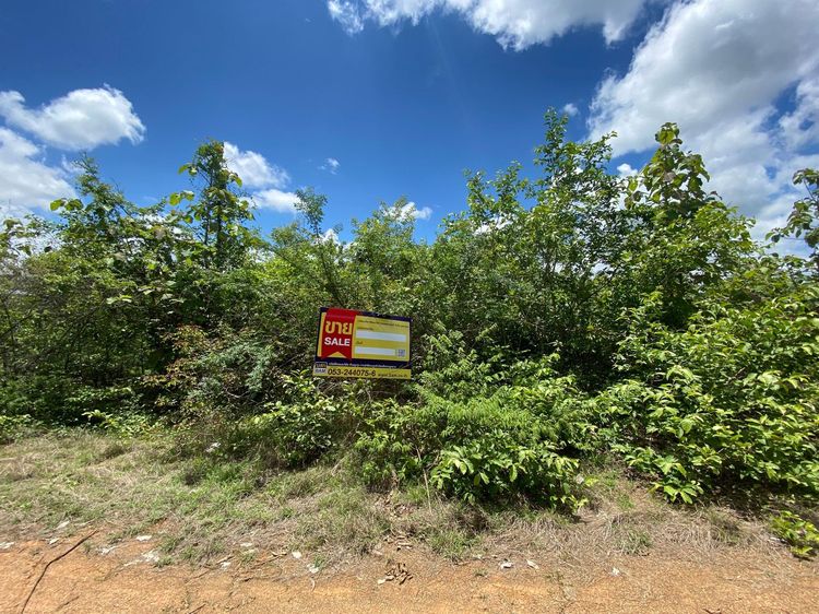 ใช่ 💖 ที่ดิน บ้านโฮ่ง ราคาพิเศษ! 💖