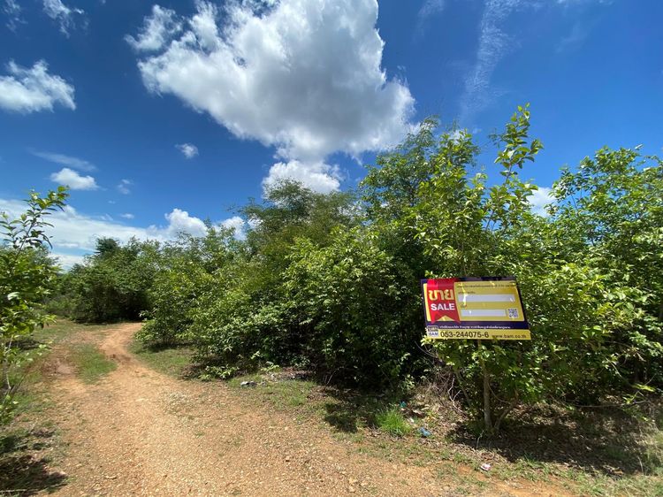 ใช่ 💖 ที่ดิน บ้านโฮ่ง ราคาพิเศษ! 💖 รูปที่ 3