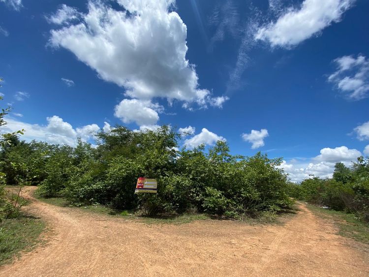 ใช่ 💖 ที่ดิน บ้านโฮ่ง ราคาพิเศษ! 💖 รูปที่ 2