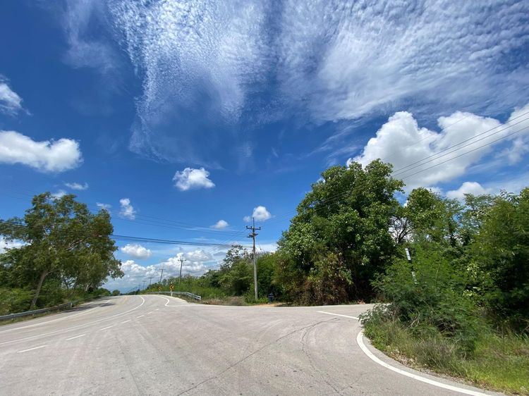 ใช่ 💖 ที่ดิน บ้านโฮ่ง ราคาพิเศษ! 💖 รูปที่ 4