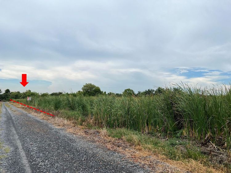 ใช่ 💖 ที่ดิน นครชัยศรี ราคาพิเศษ! 💖 รูปที่ 4