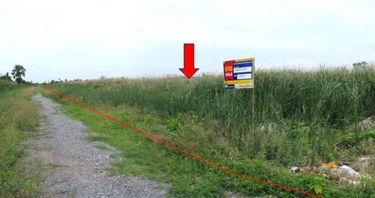 💖 ที่ดิน นครชัยศรี ราคาพิเศษ! 💖