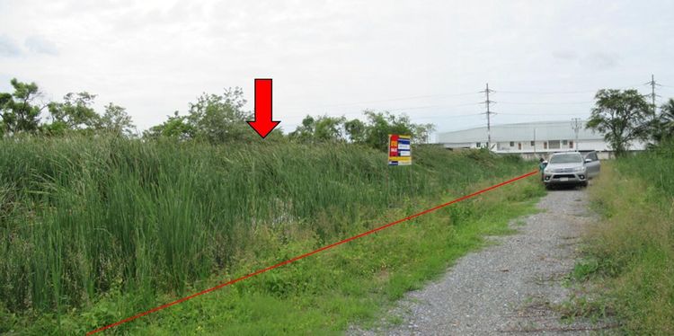 āđāļāđ ð āļāļĩāđāļāļīāļ āļāļāļĢāļāļąāļĒāļĻāļĢāļĩ āļĢāļēāļāļēāļāļīāđāļĻāļĐ! ð āļĢāļđāļāļāļĩāđ 3