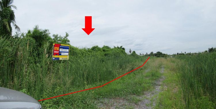 💖 ที่ดิน นครชัยศรี ราคาพิเศษ! 💖