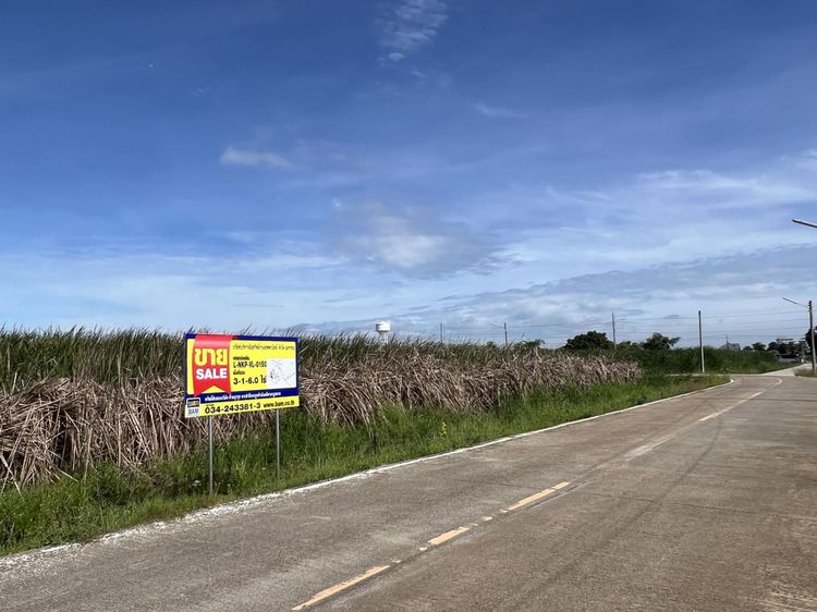 💖 ที่ดิน นครชัยศรี ราคาพิเศษ! 💖