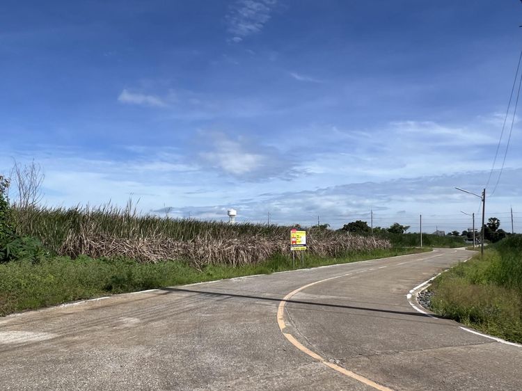 ใช่ 💖 ที่ดิน นครชัยศรี ราคาพิเศษ! 💖 รูปที่ 2