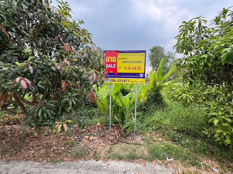 ใช่ 💖 ที่ดิน เมืองนครนายก ราคาพิเศษ! 💖 รูปที่ 2