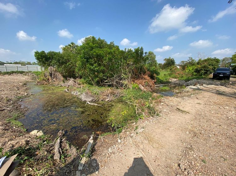 ใช่ 💖 ที่ดิน เมืองนครนายก ราคาพิเศษ! 💖 รูปที่ 3