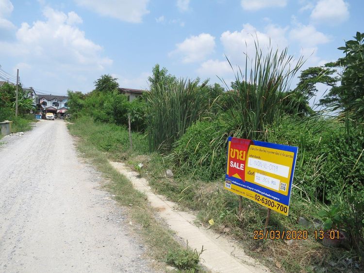 ใช่ 💖 ที่ดิน บางบัวทอง ราคาพิเศษ! 💖 รูปที่ 2