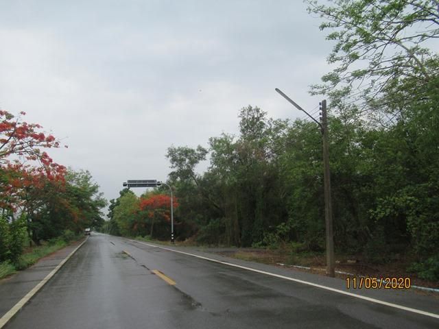 ใช่ 💖 ที่ดิน หนองเสือ ราคาพิเศษ! 💖 รูปที่ 2