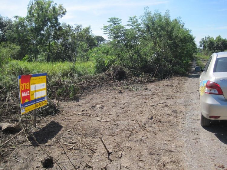 💖 ที่ดิน หนองเสือ ราคาพิเศษ! 💖