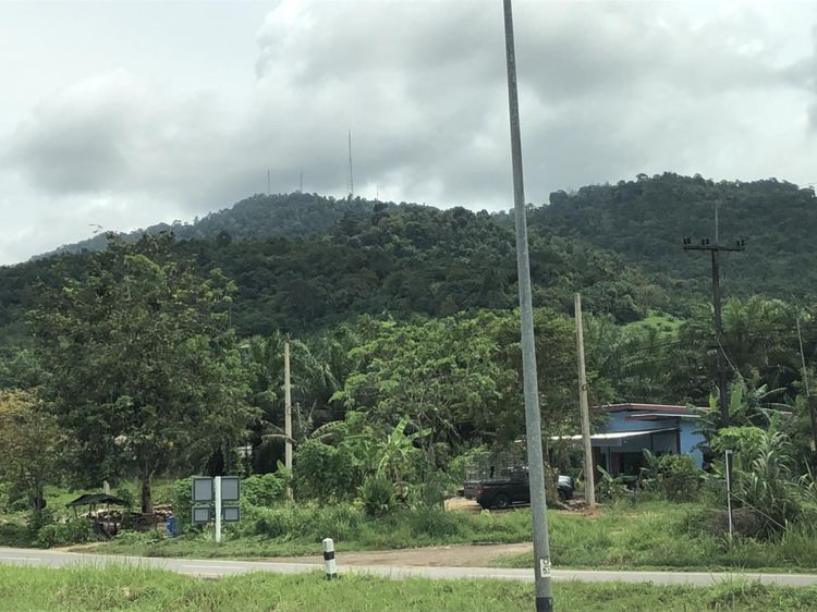 ใช่ 💟 ที่ดินเปล่า ระนอง 💟 รูปที่ 3