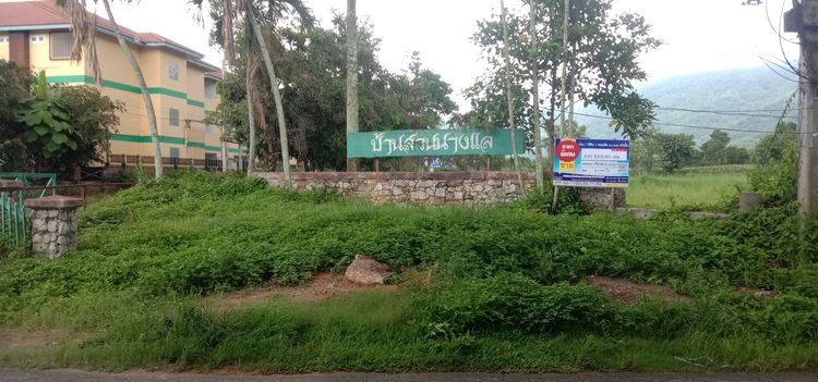 ใช่ 💖 ที่ดิน เมืองเชียงราย ราคาพิเศษ! 💖 รูปที่ 4