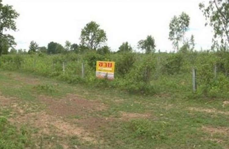 💖 ที่ดิน น้ำพอง ราคาพิเศษ! 💖