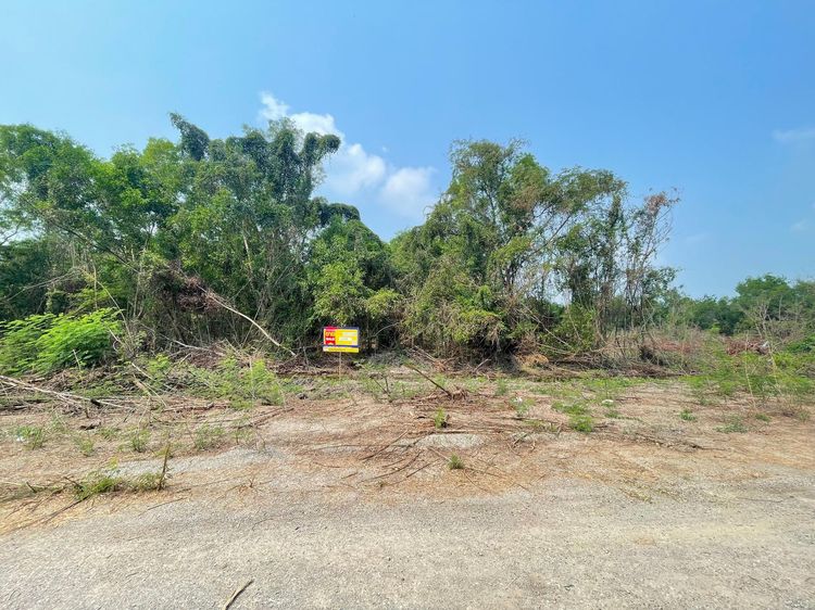 💖 ที่ดิน บางไทร ราคาพิเศษ! 💖